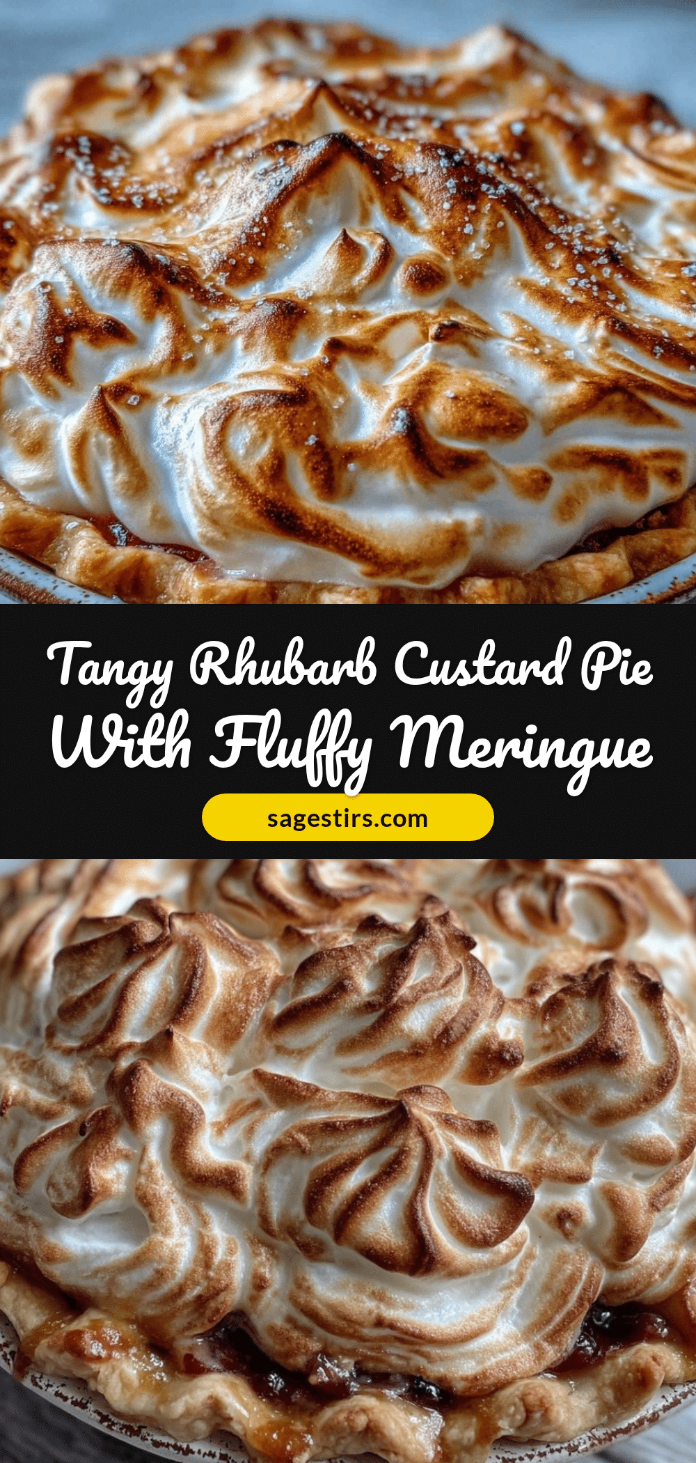 classic rhubarb custard pie recipe