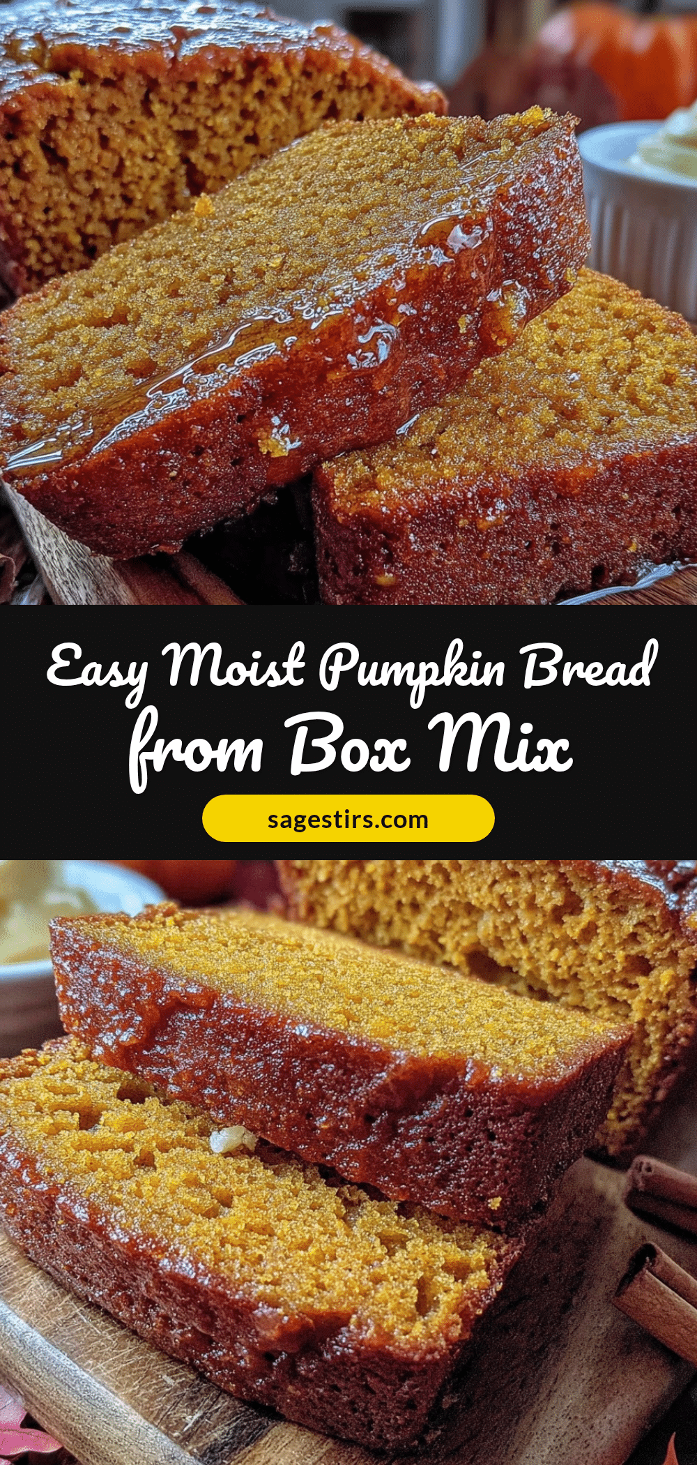 easy moist pumpkin bread recipe