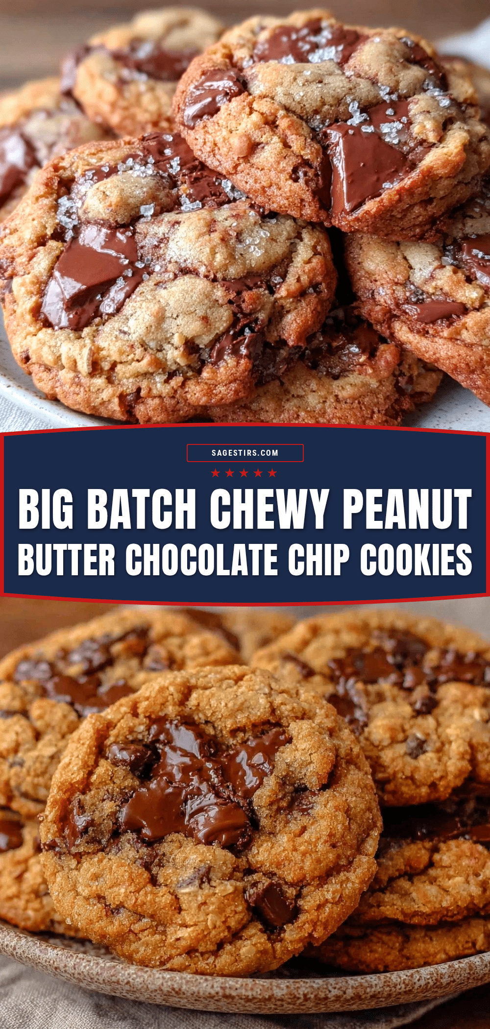 chewy peanut butter oat chocolate chip cookies recipe