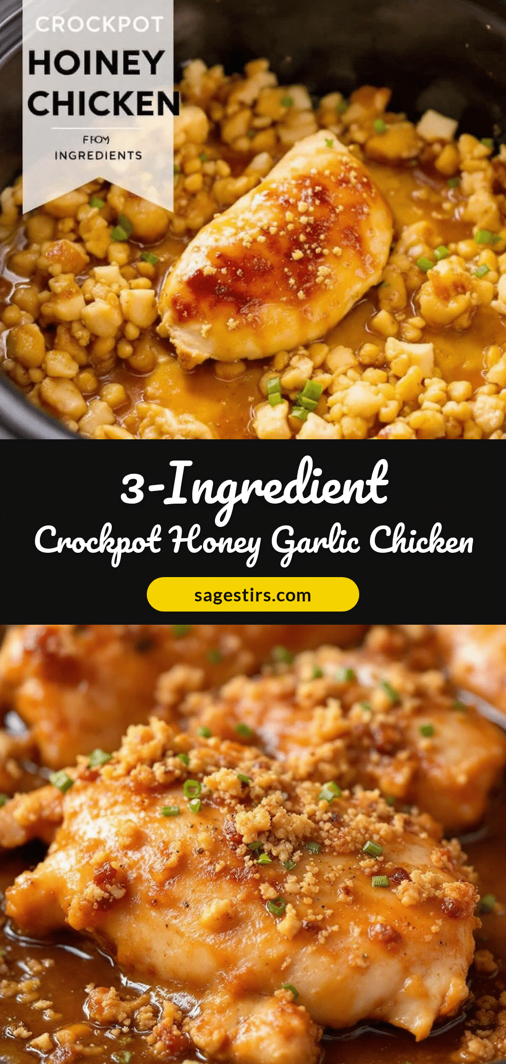crockpot honey garlic chicken recipe