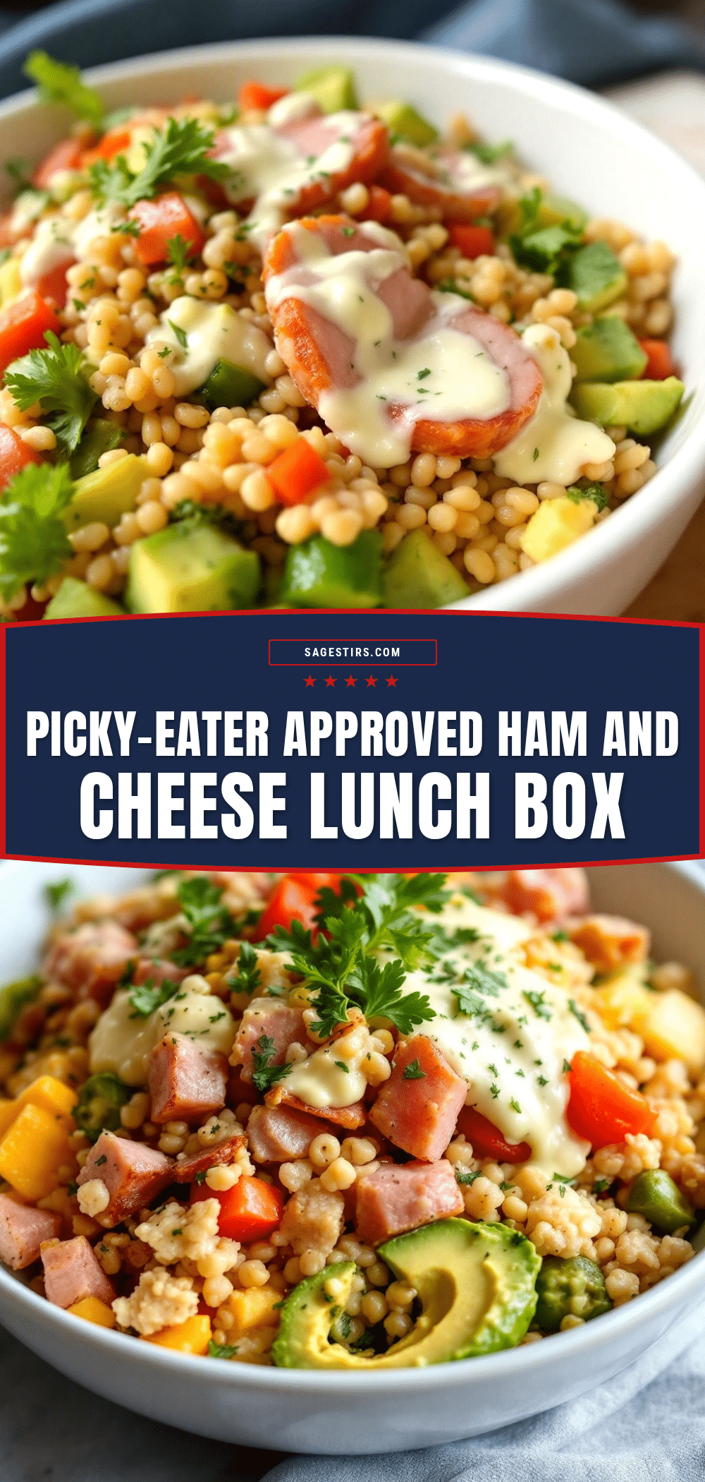 easy ham and cheese lunch box recipe