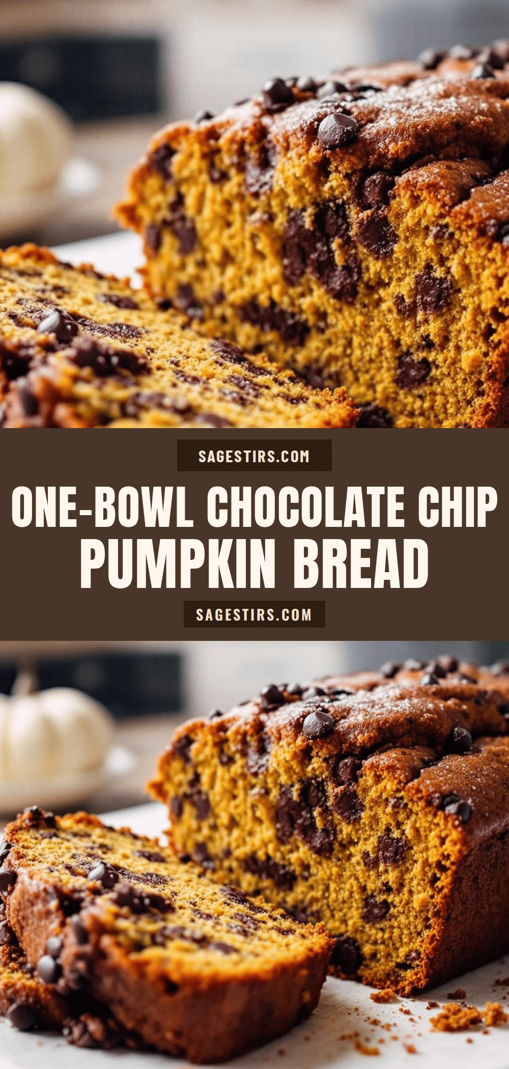 one bowl chocolate chip pumpkin bread recipe