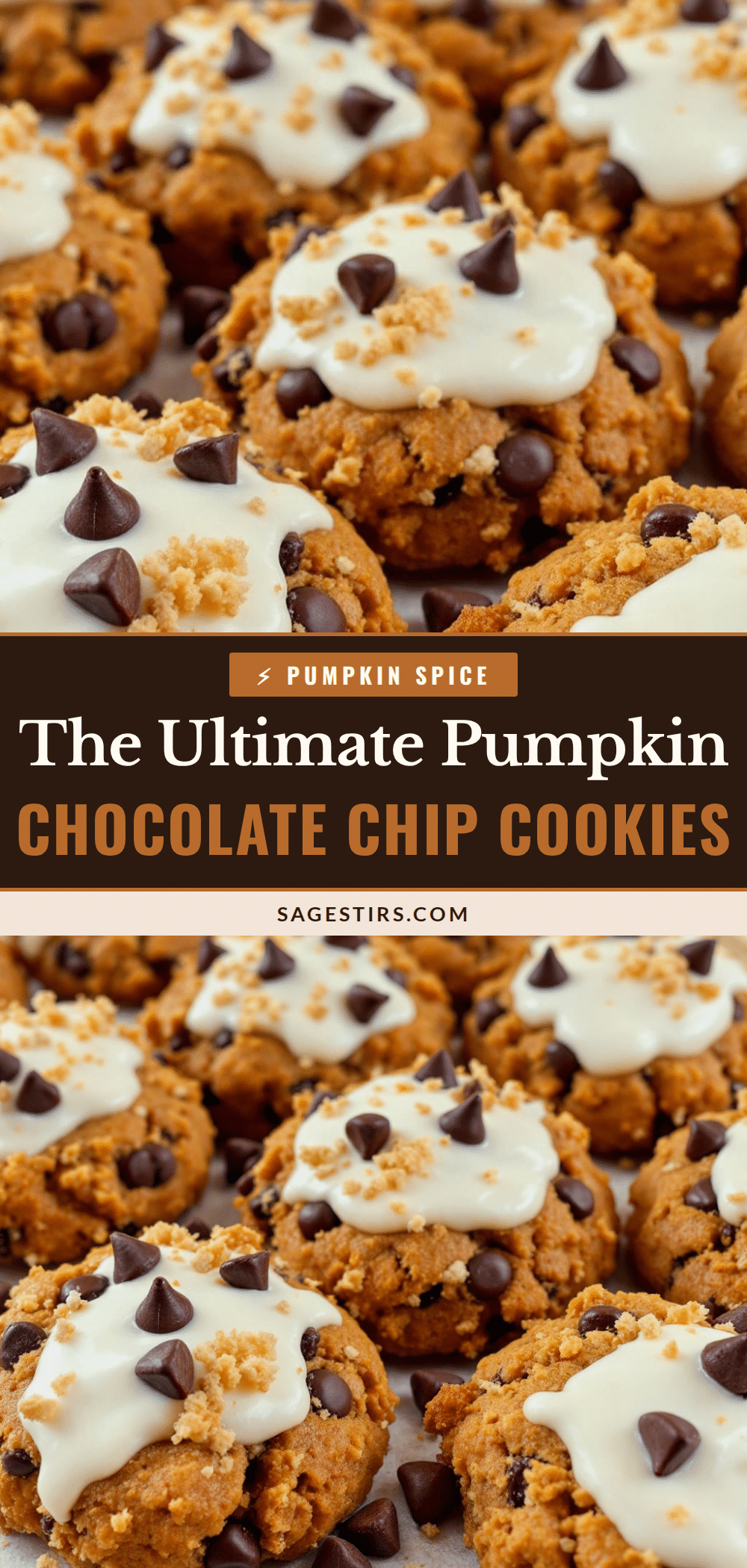 pumpkin chocolate chip cookies recipe