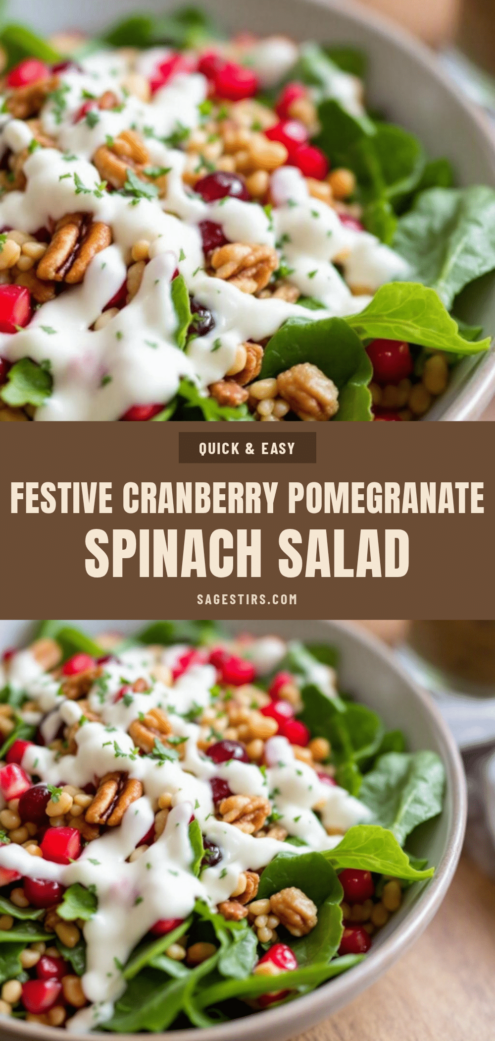 cranberry pecan pomegranate spinach salad recipe