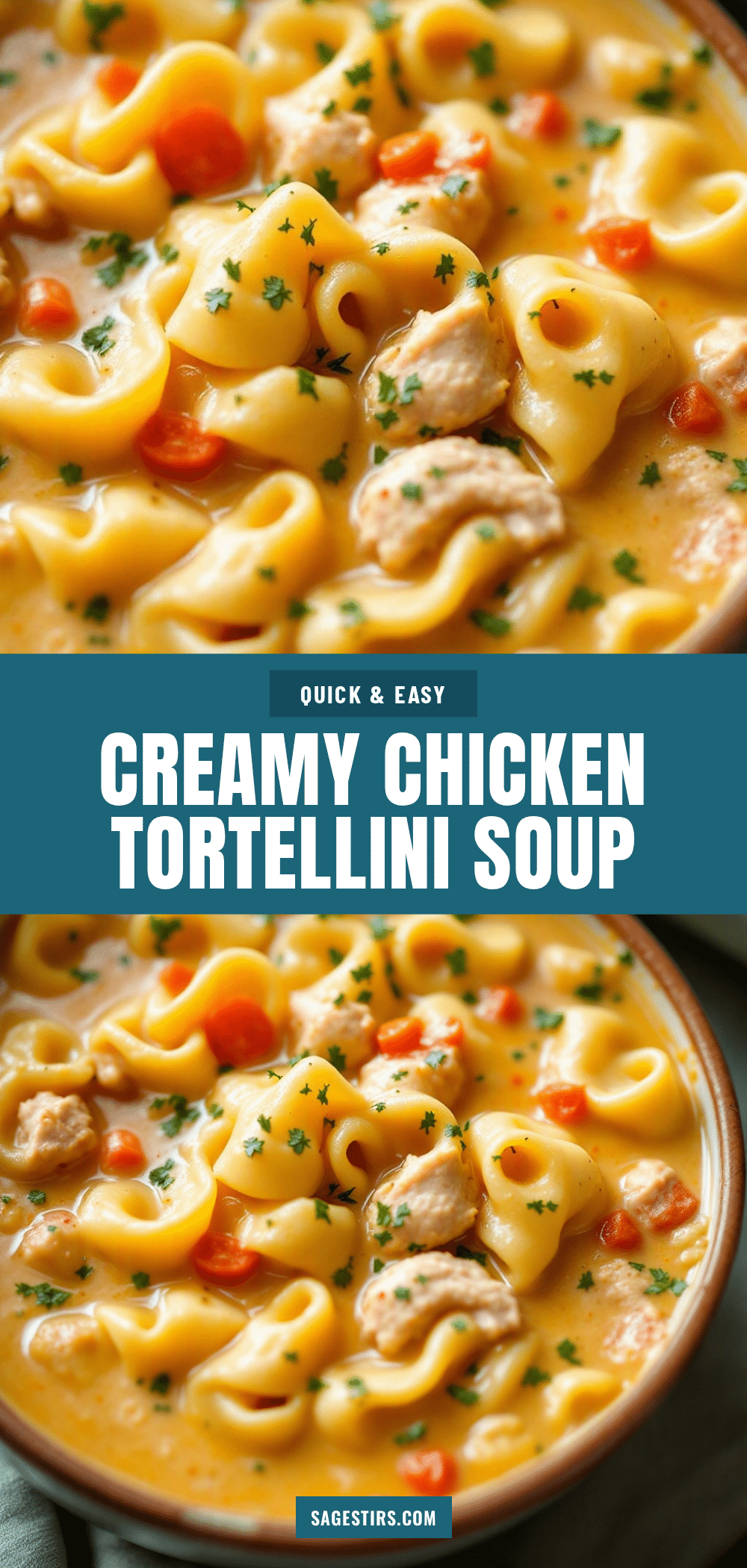 creamy chicken tortellini soup recipe