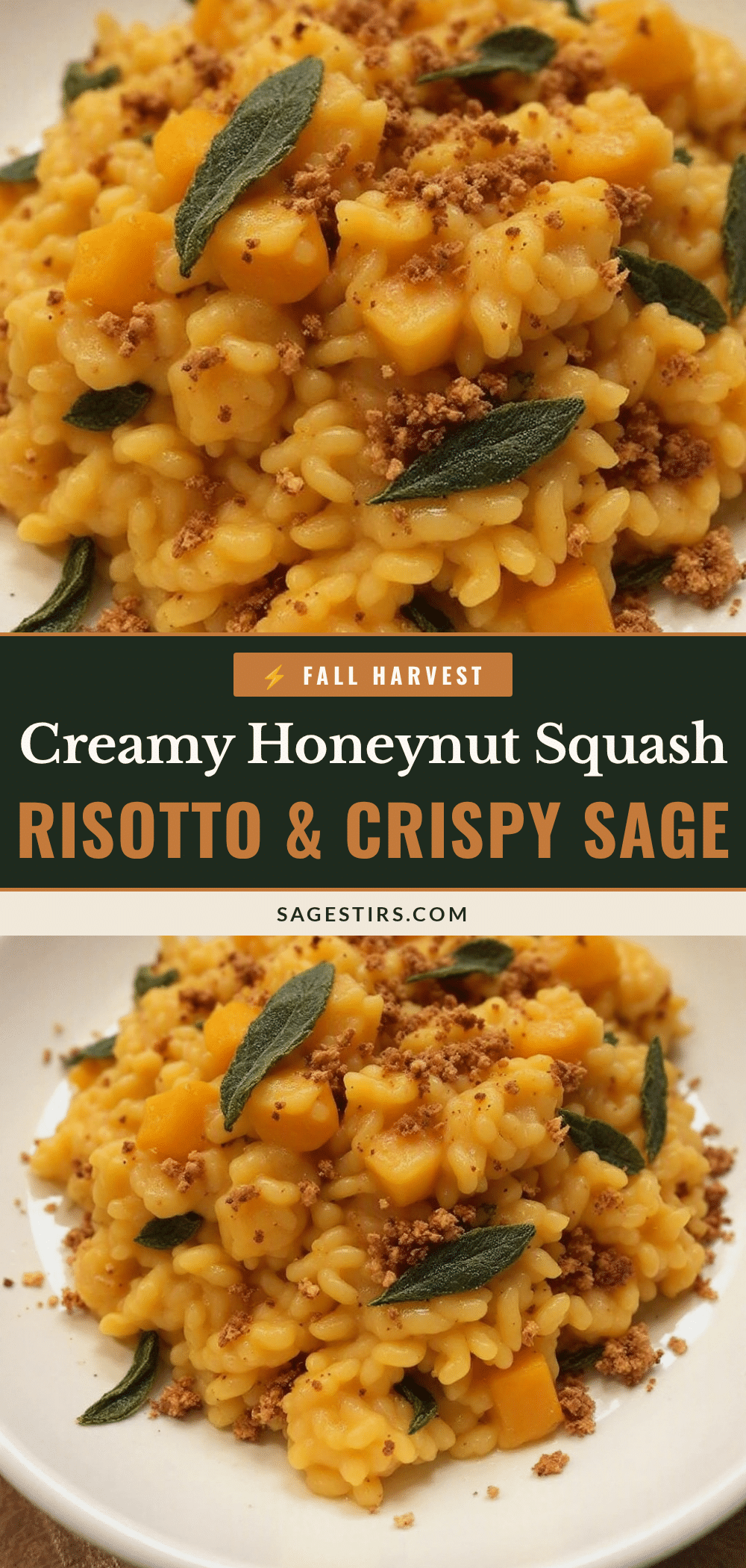 creamy honeynut squash risotto with crispy sage recipe