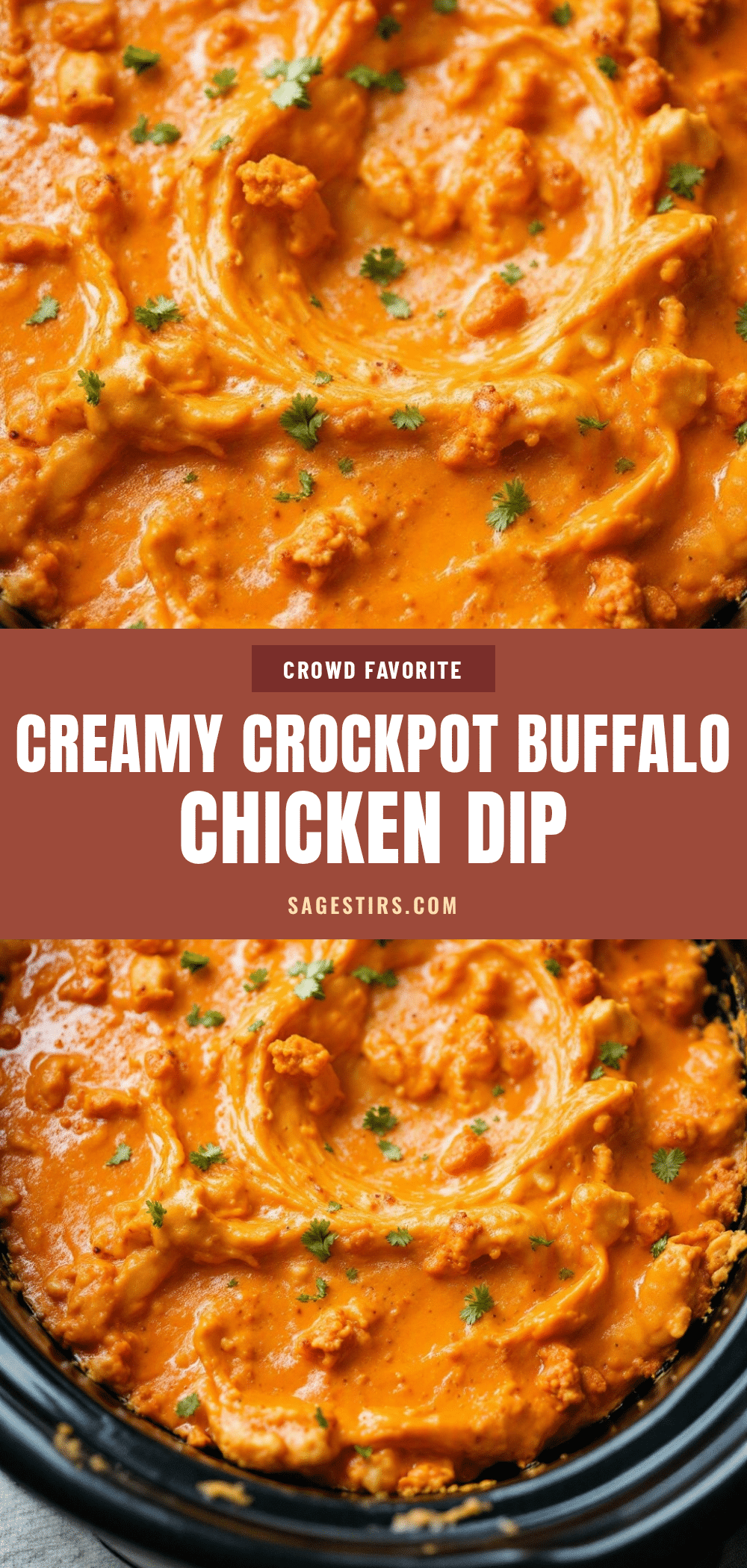 easy crockpot buffalo chicken dip for a crowd recipe